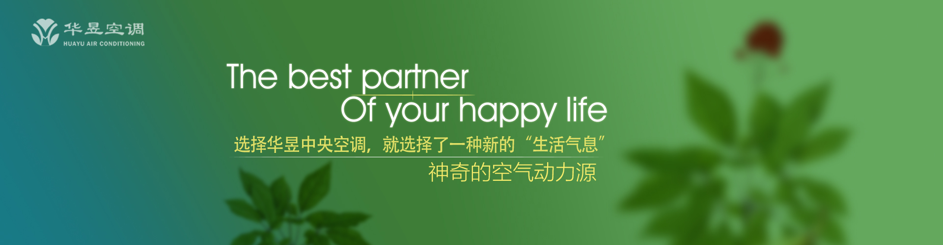 进退有度网